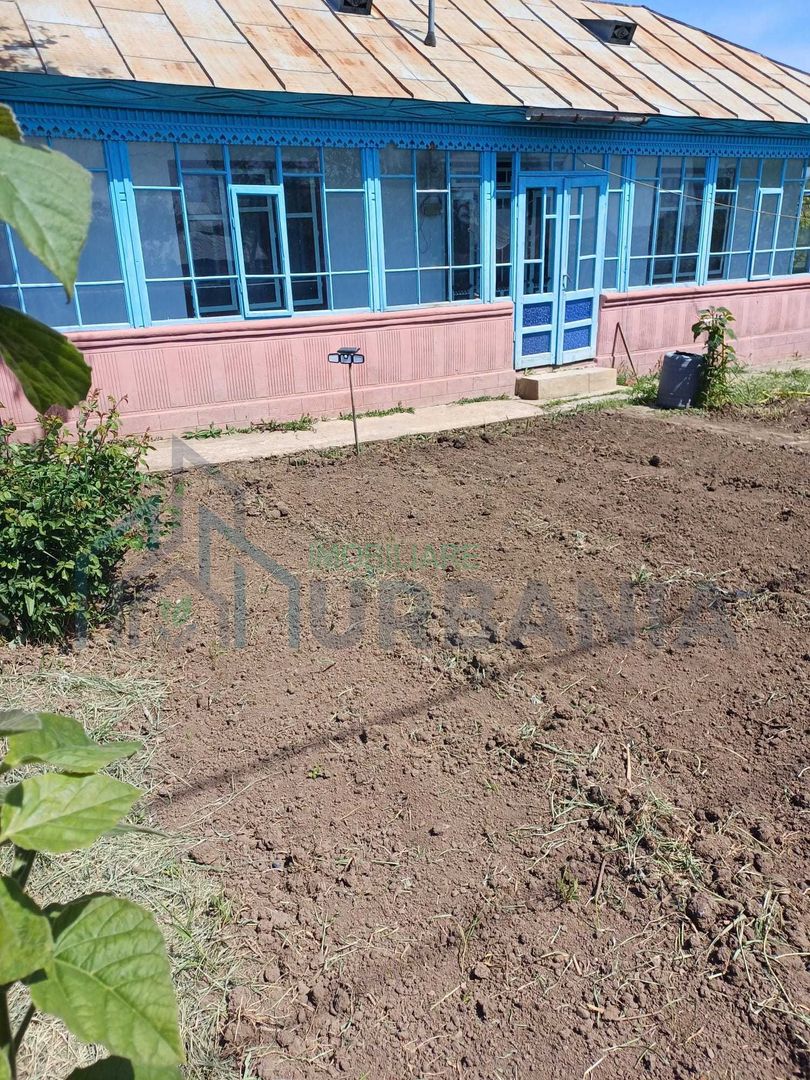 Casă locuibilă cu 3 camere și teren 4000 mp, Popesti, Iași - Poză 1