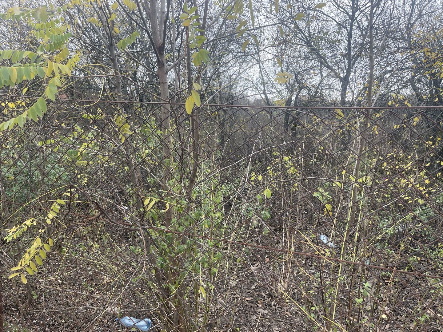 Teren in suprafata de 2165 mp cu front de 30 ml - Poză 2