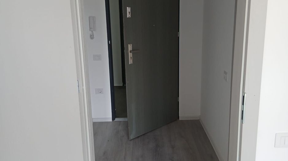 Apartament nou, 1 cameră, Băile Felix.  80 000 E. Comision 0 - Poză 4