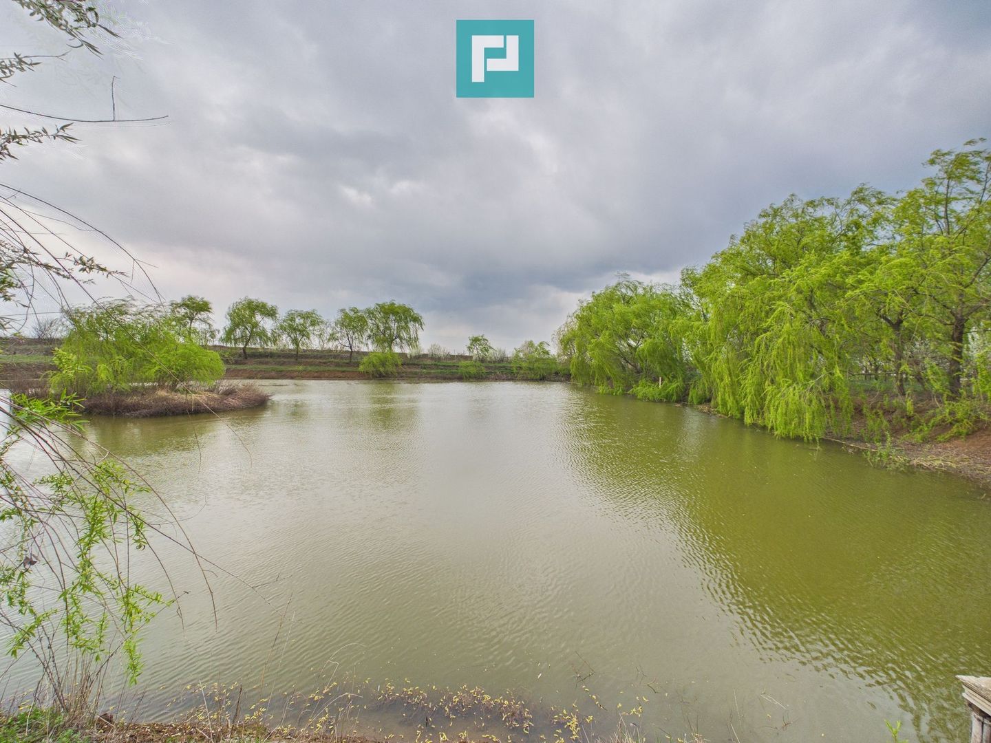 Teren 1 ha cu baltă populată – Alioș (Mașloc) - Poză 1