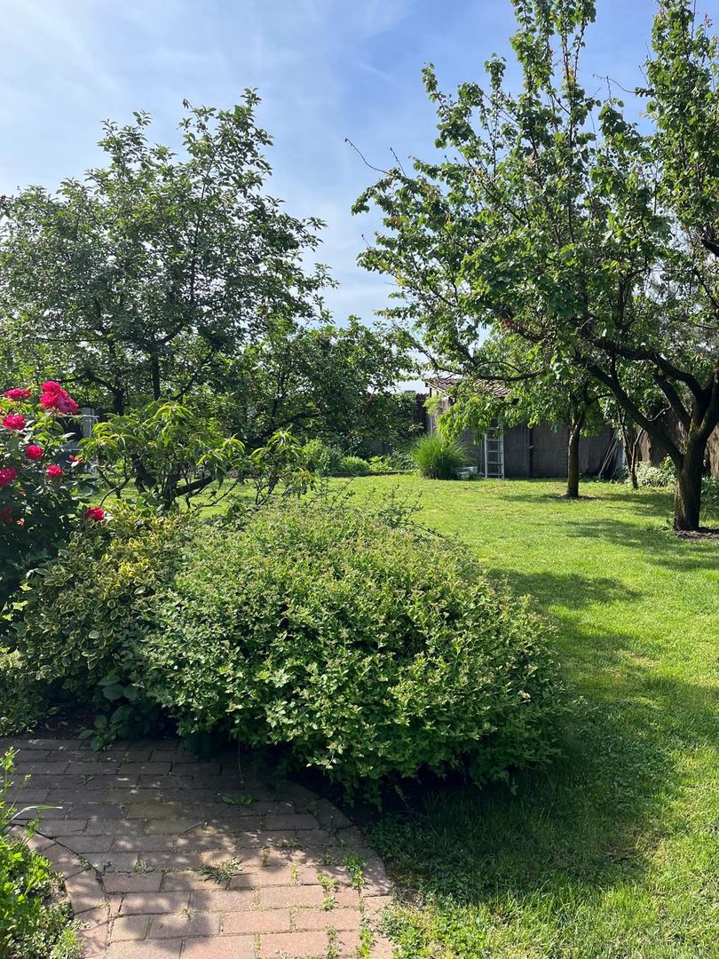 Casă elegantă, spațioasă, ideală pentru familie – Sanmihaiu Roman - Poză 29