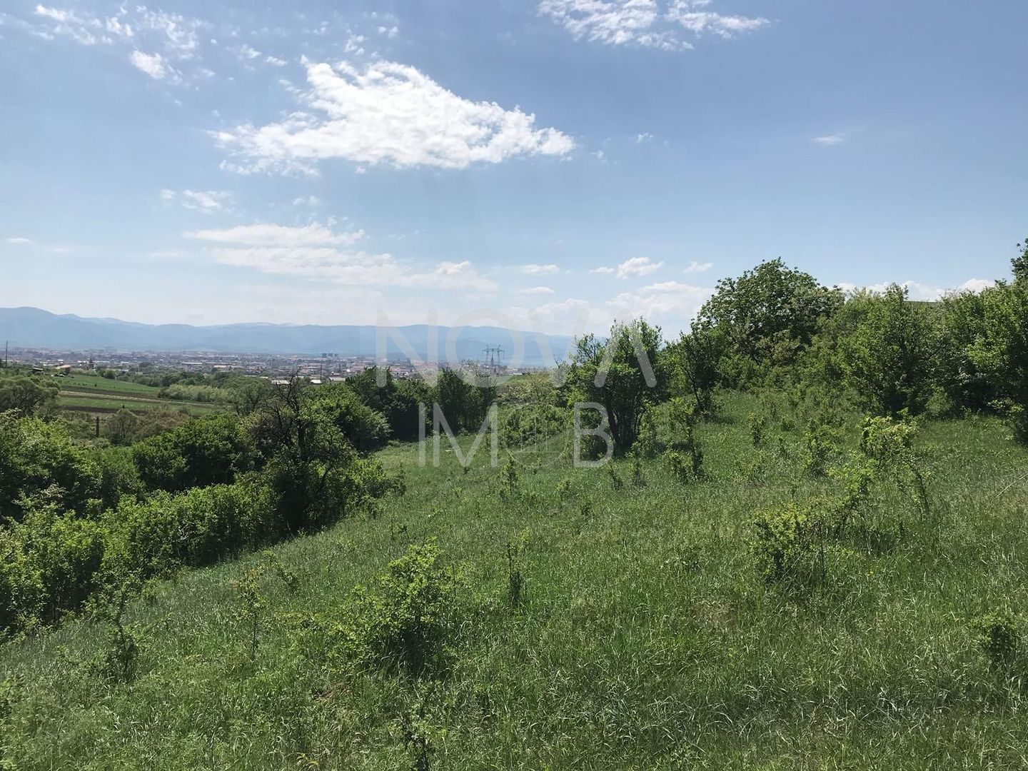Teren extravilan - 8000 mp, Gusterita - Poză 2