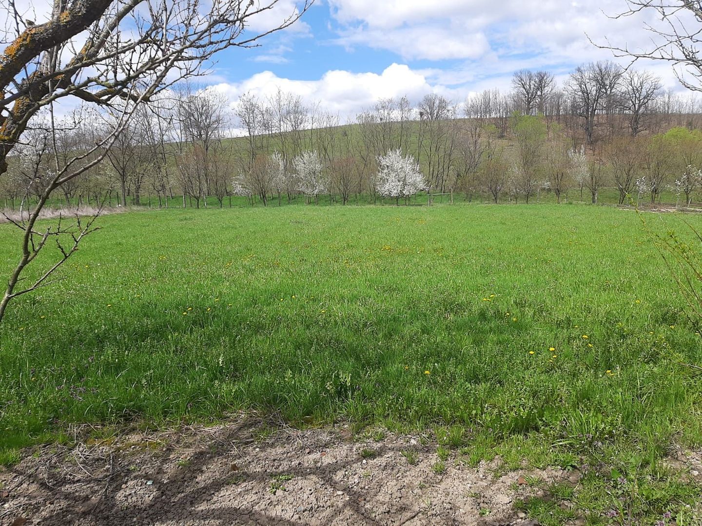 Casă cu teren generos la Bodo - Poză 3