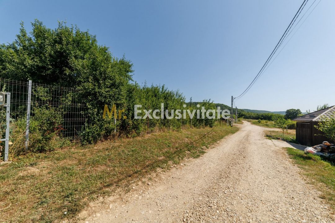 Teren intravilan Ștefănești Valea Mare Podgoria - Poză 2