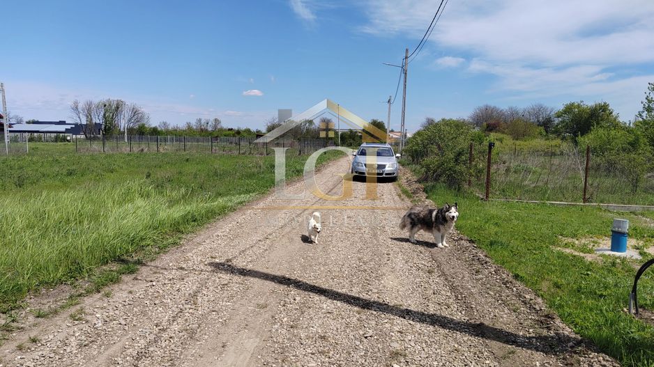 🌿 Teren de vânzare – Răcari, Str. Mestecenilor - Intrarea cu Tei - Poză 10