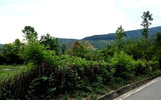 Teren Intravilan, utilitati in zona, 2600 mp, Draganeasa, Prahova - Poză 4