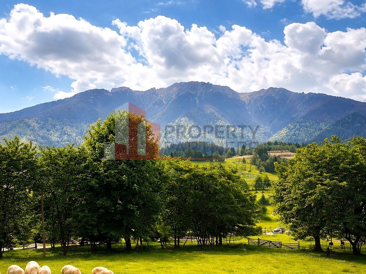 Teren cu priveliște spectaculoasă în Bran – Sohodol - Poză 1