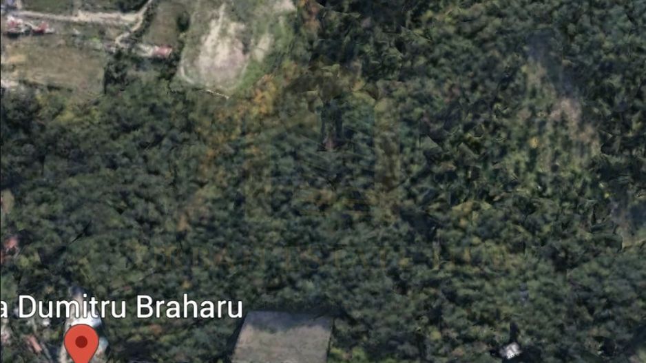 Vânzare teren pentru casa de vacanta, cabana, zona Pensiunea Serena - Poză 5