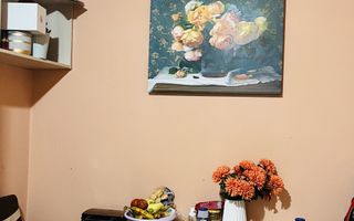 Apartament 3 camere Kogalniceanu la casa - Poză 10