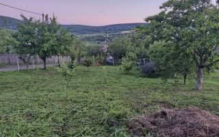 Teren intravilan de vanzare, Chicerea, 740 mp, strada Canarului, Tomesti - Poză 4