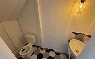 Spatiu comercial de inchiriat in zona Pache Protopopescu - Poză 7