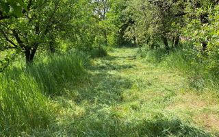 BRASADAS vinde casa cu 3 cam teren 17 ari zona Titulescu. - Poză 6