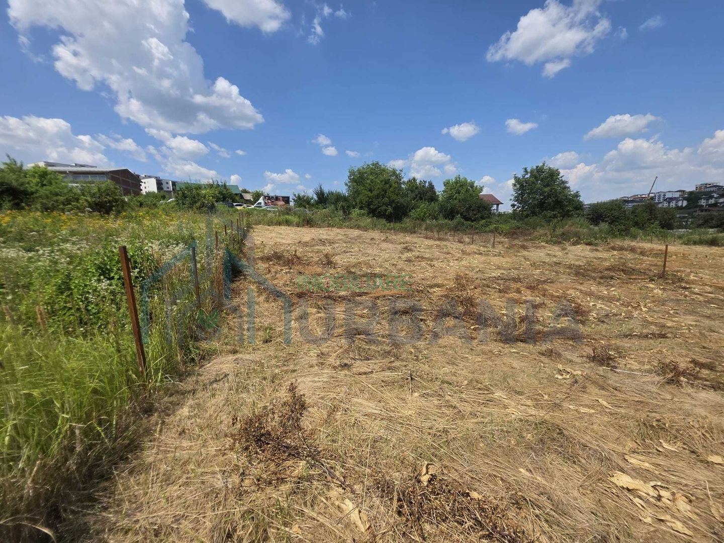 Teren intravilan de vânzare – sat Vișan, com. Bârnova, Iași | 1.600 mp | Investiție sau construire locuință - Poză 4