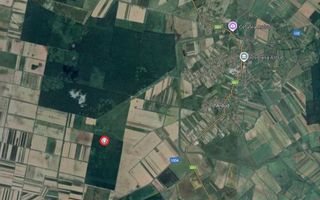 Teren arabil si padure de vanzare - Poză 2