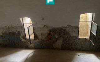 Conac nobiliar de secol XIX cu 8 camere în Maciova - Poză 26