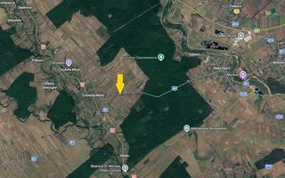 Crevedia Mare - Jud. Giurgiu, teren 5006 mp, deschidere 20 m la DJ 601 - Poză 1