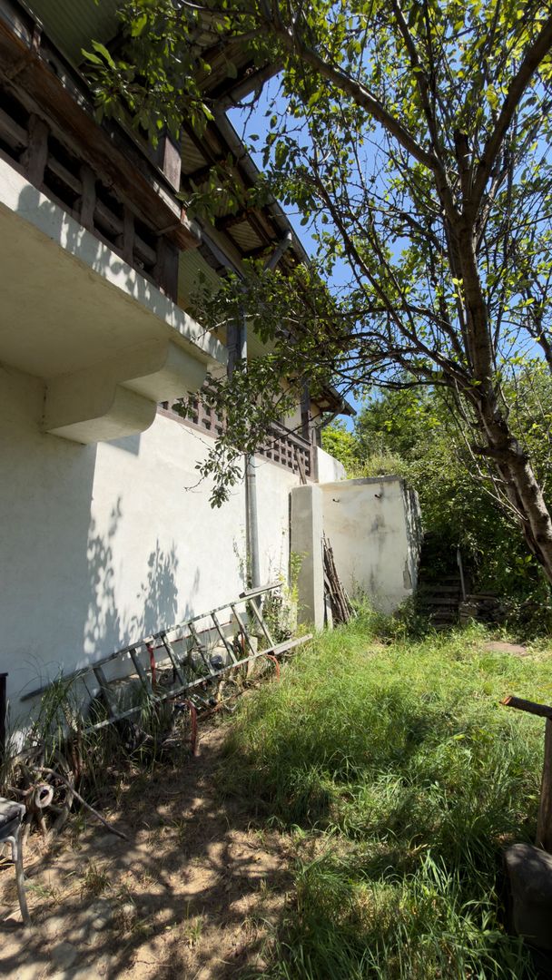 Casa | Bradetu, Arges | Crama | Tranfagarasan | Vidraru - Poză 30