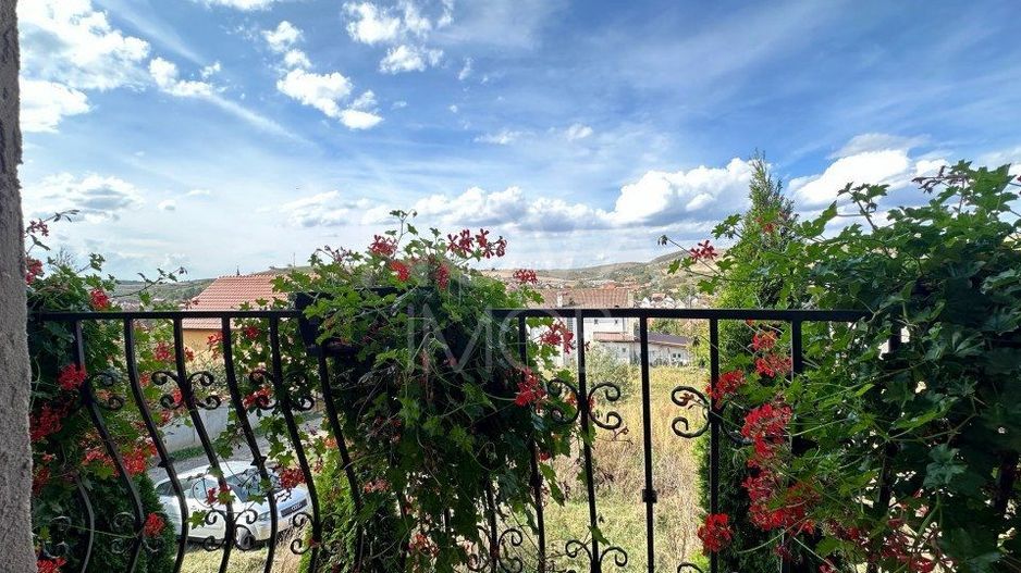 Casa individuala de vanzare - Sura Mare - Poză 9