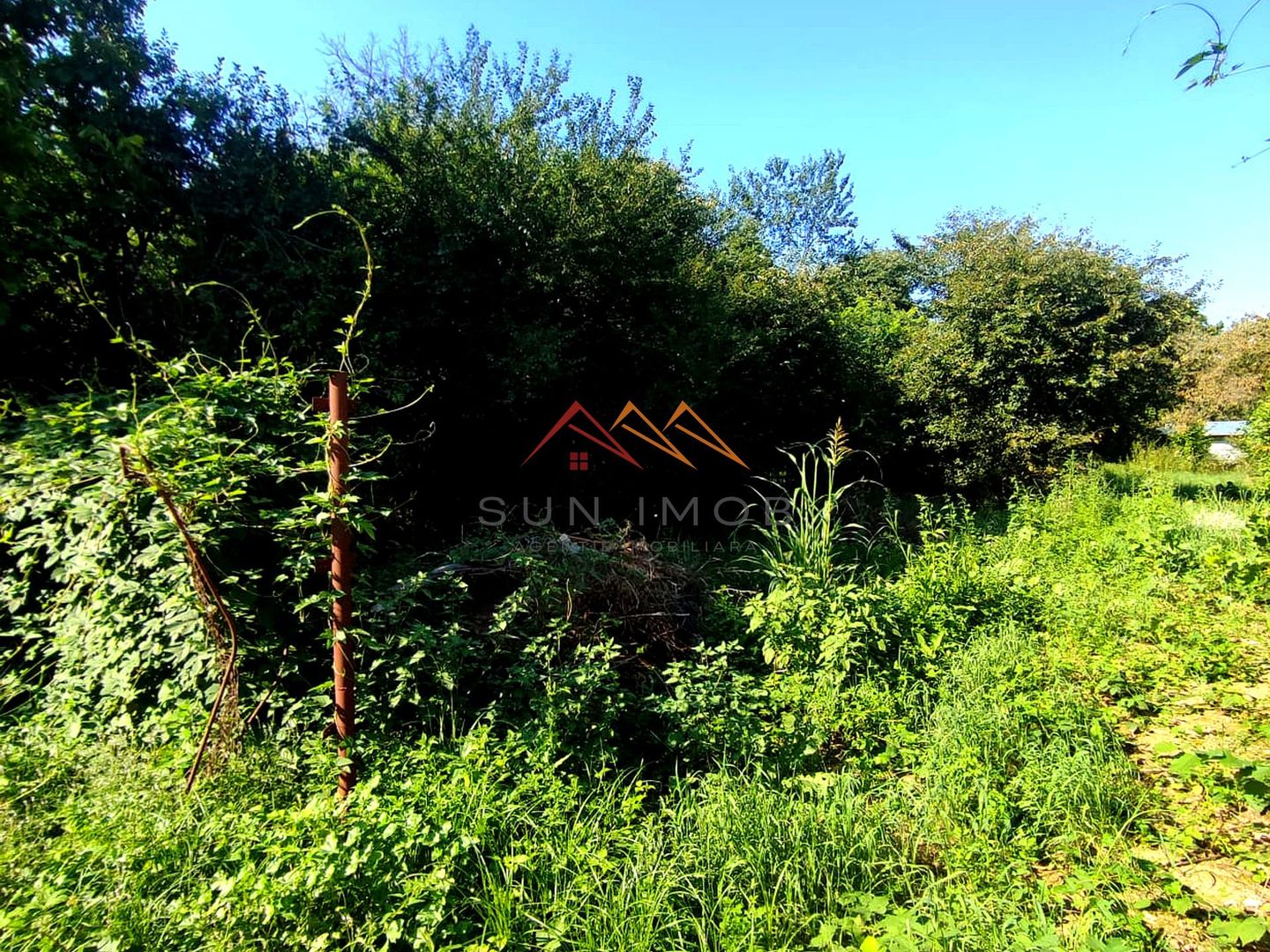 CASĂ DE VÂNZARE | 1.486 MP TEREN | URLETA - Poză 13