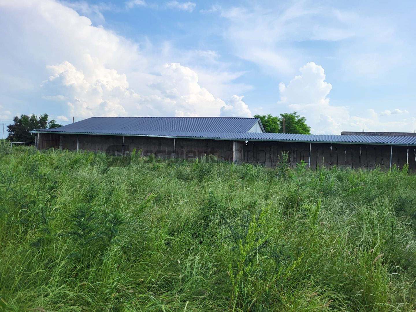 FERMA ZOOTEHNICA DE VANZARE - Poză 5