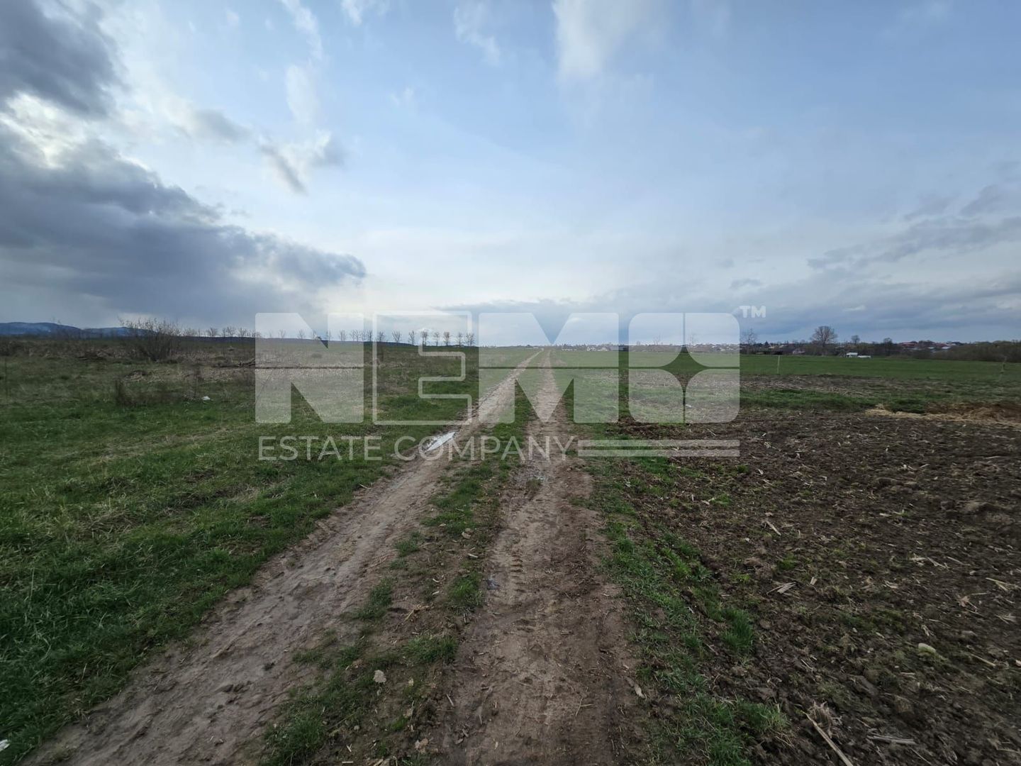 Teren extravilan 29000€ I 33.18 ari I Horodnic - Poză 3