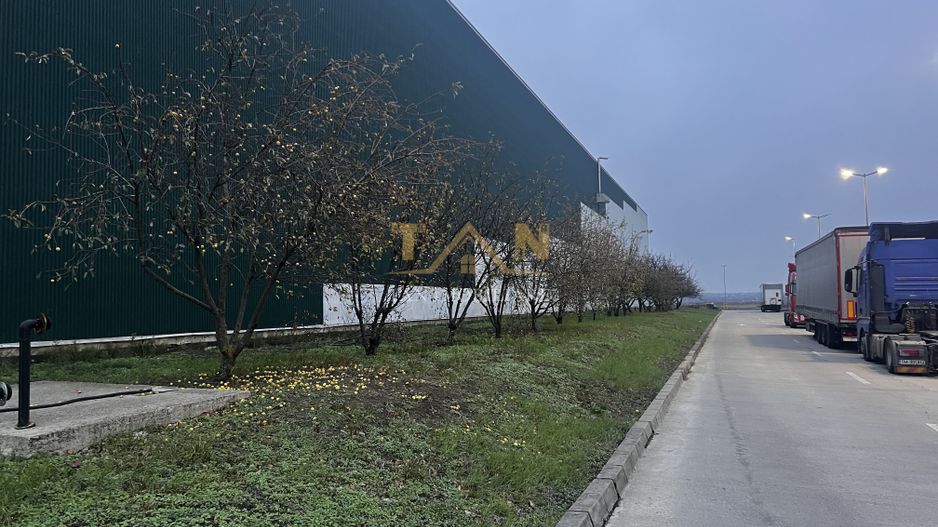 De Vânzare Hala Giarmata pe Patforma Valeo !!!! - Poză 19