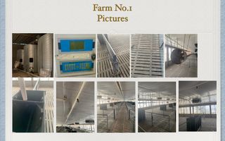 Investment Opportunity in Agriculture and Zootechnics 1000 ha near Targoviste - Poză 4