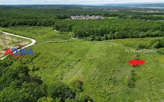 Vanzare teren Balotesti, la padure - Poză 6