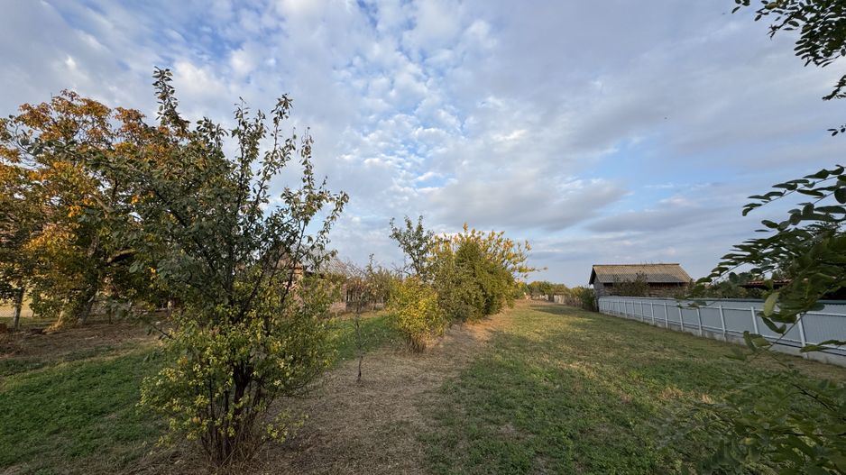 Teren Intravilan Becicherecu Mic In Vatra Satului,1104 mp,Fs. 14m - Poză 3