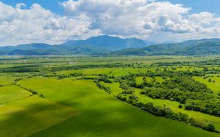 Teren de investiție în zona Tohanul Nou - Bran  5.800 mp - Poză 6