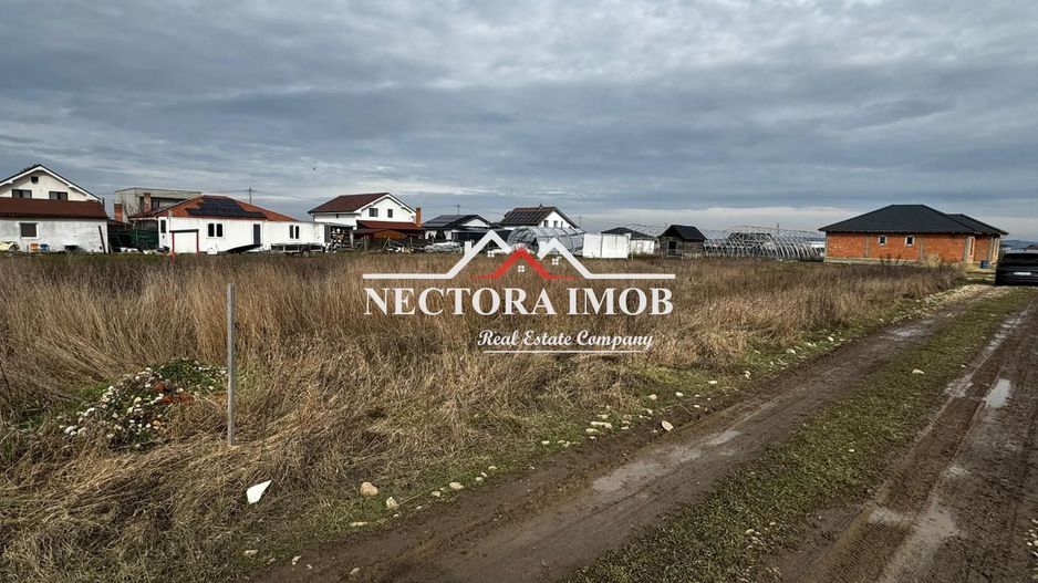 NECTORA IMOB-Teren Intravilan Zona Cihei,512 mp, Utilitati,Str.Privata - Poză 1