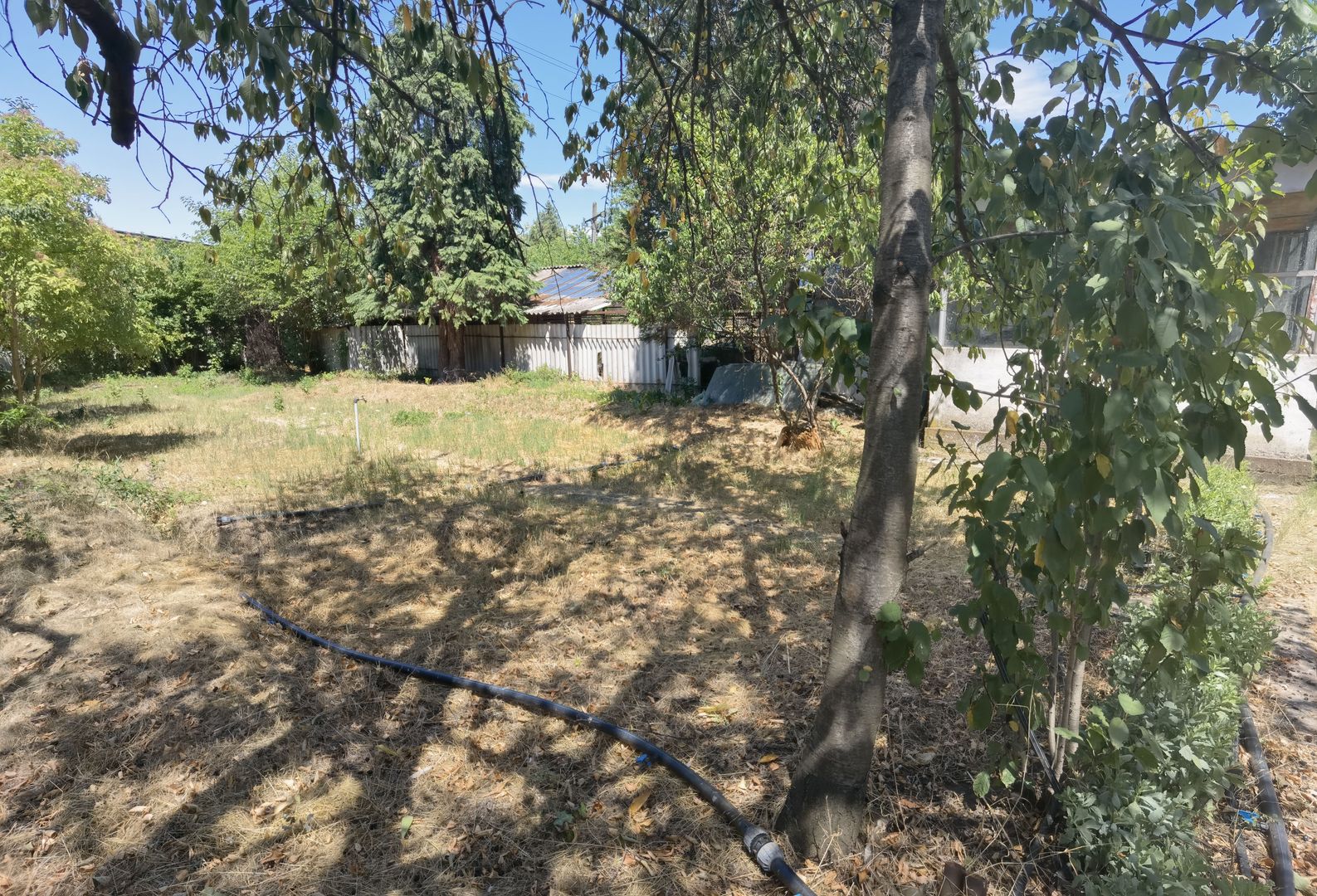 Spatiu industrial zona Sud-Arad - Poză 26