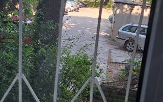 3 camere decomandat parter Lipovei - Poză 8
