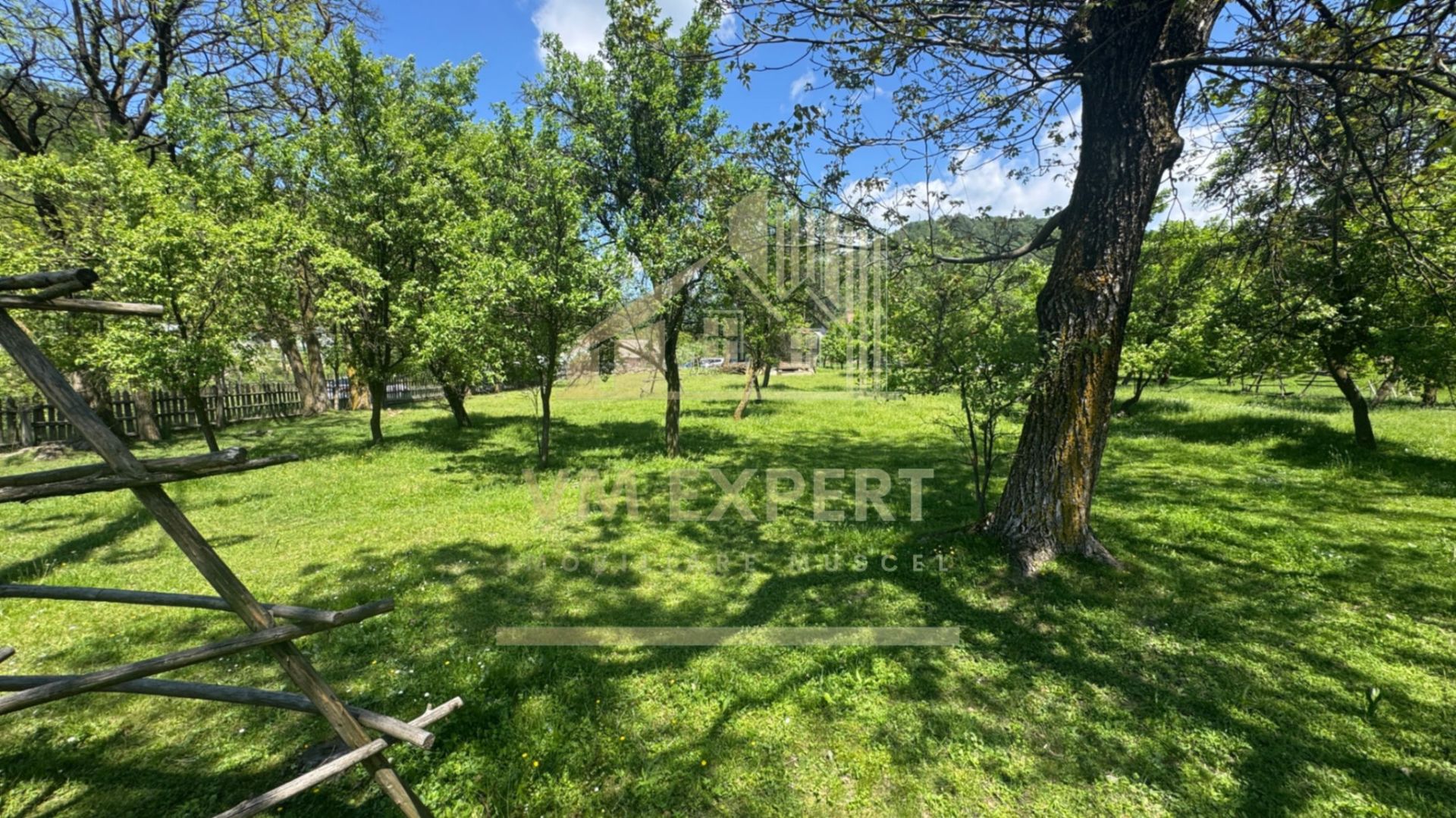 TEREN INTRAVILAN 3477 MP STOENEȘTI BĂDENI ARGEȘ - Poză 16
