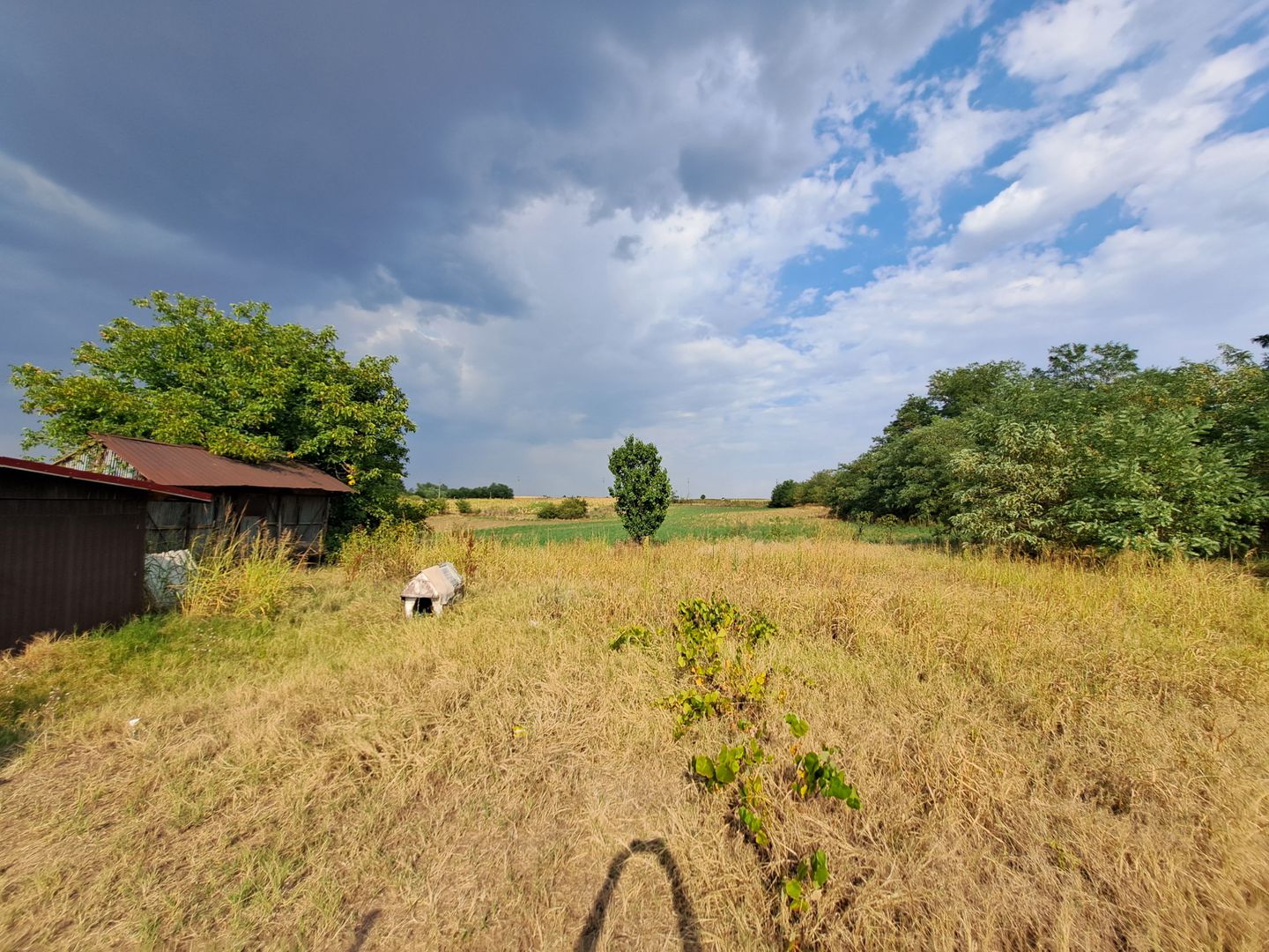 Casa + Teren 13.000 mp - Cervenia - Teleorman - Poză 4