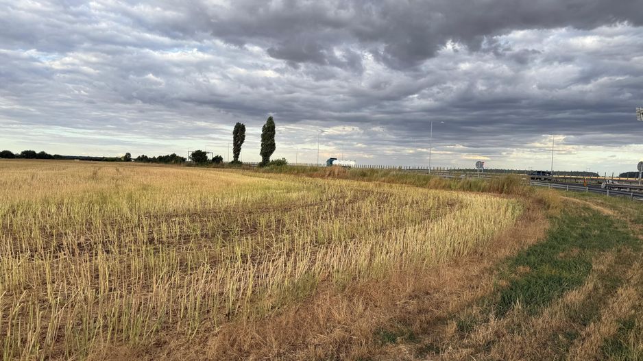 Teren intravilan Branesti - Poză 5