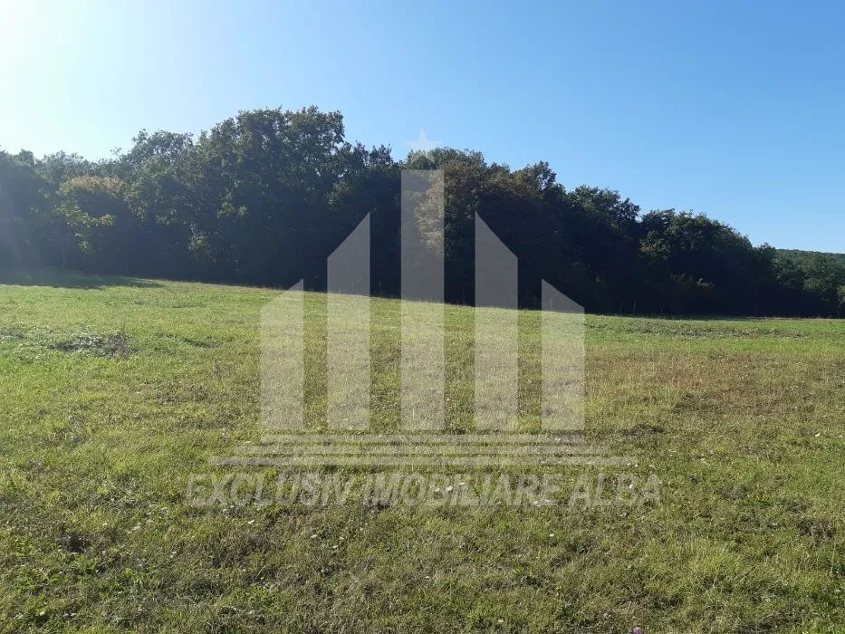 Teren intravilan de vanzare, Micesti - Poză 3