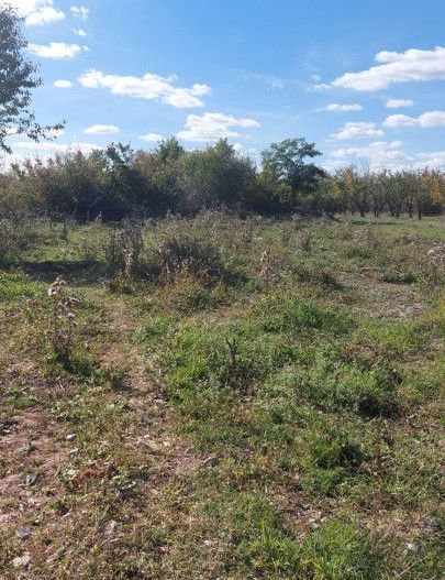 Teren de vanzare Smeura strada Prunilor - Poză 5