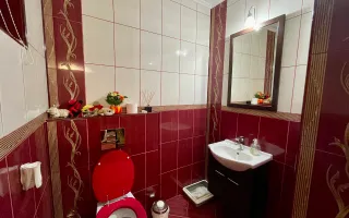 De vânzare casă cu suprafața de 250 mp plus 900 mp teren - Poză 15