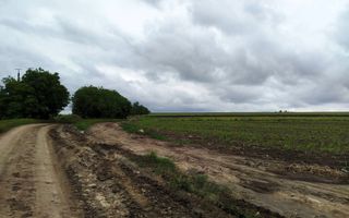 Teren Agricol de Vânzare – 78 Ari în Comuna Răzeni | Investiție cu Potențial! - Poză 4