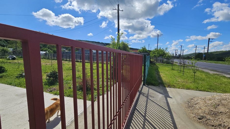 Proprietate deosebită de vânzare – Drăganu, Argeș - Poză 8