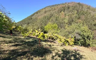 Casa de vanzare 1500 mp Cugir zona linistita - Poză 12