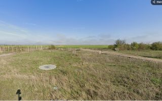 Teren intravilan 11600mp | Clinceni | Oportunitate de Investiție - Poză 3