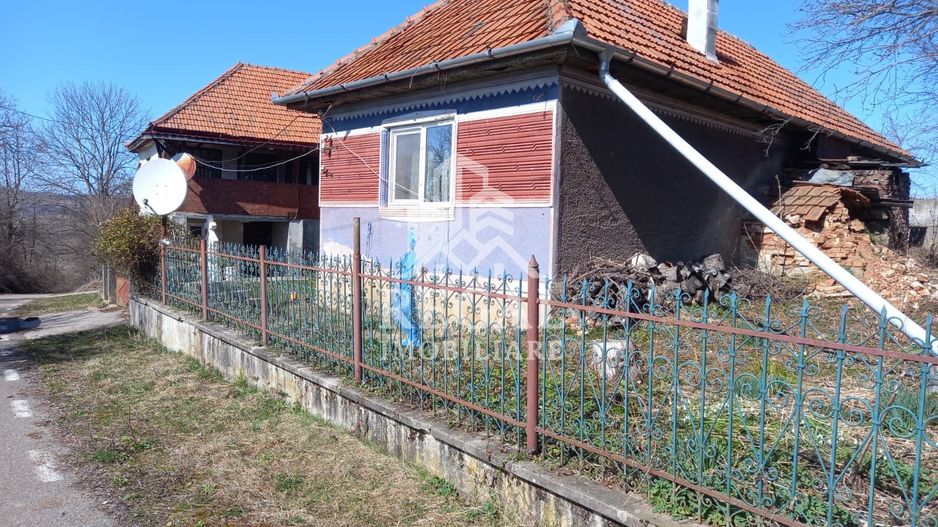 Două case de vânzare – Cerisor – teren generos 6996 mp - Poză 1