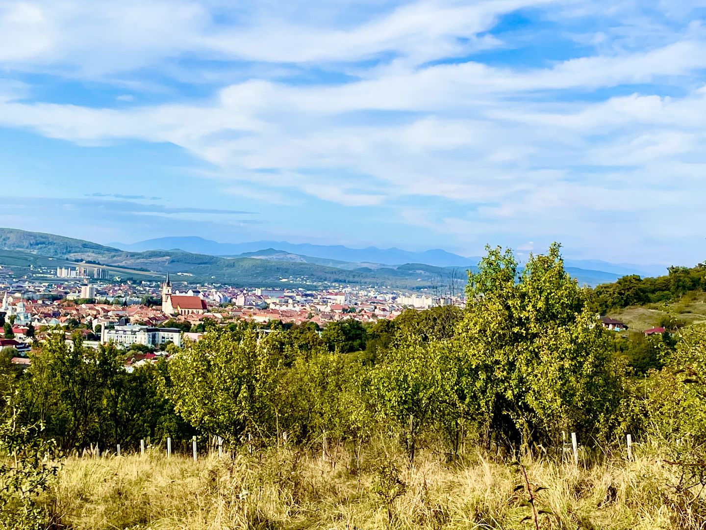 Teren de vanzare,16000 mp - parcelabil, 3 minute de centru! - Poză 5