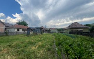GRADINA BUNICII DE ODINIOARA,DE VANZARE -PAPAUTI,COVASNA. - Poză 5