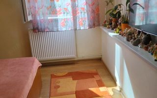 Apartament cu 2 camere Sagului modificat in 3 camere - Poză 5