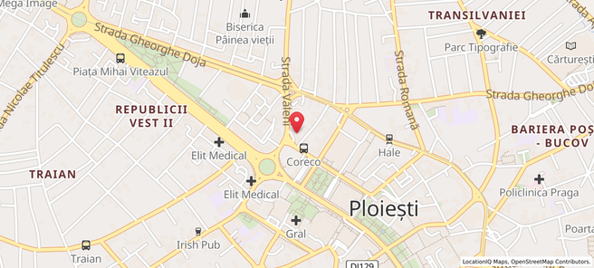 Locație THE BLACK SWAN