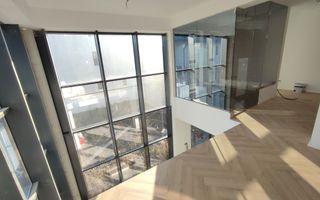 Vila deosebita, Matei Millo, 7 camere, langa padure - Poză 5