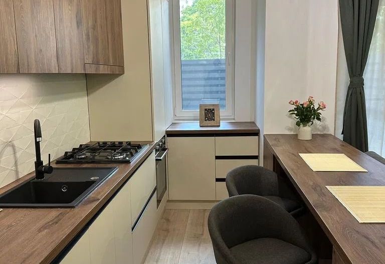 GARSONIERA GHICA APARTMENTS - CURTE PROPRIE 16 MP, PET FRIENDLY - Poză 2